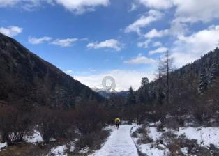 克林斯曼曾表示,韩国目标亚洲杯夺冠&26年世界杯进4强